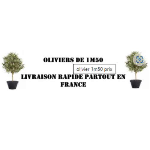 Olivier de 1M50