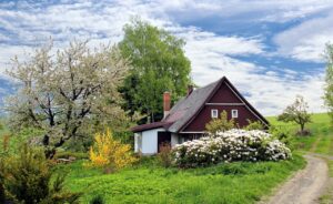 L'art du jardinage : Transformez votre extérieur !